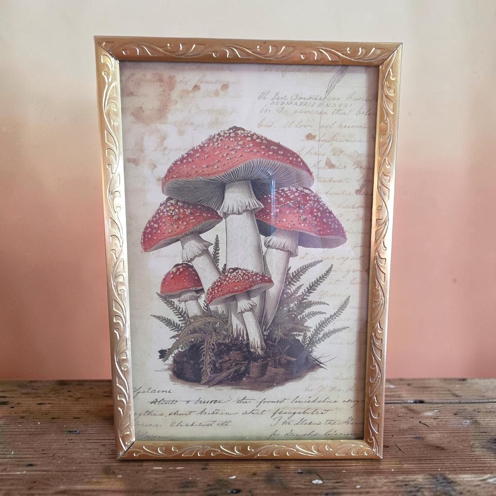 4x6 Vintage Framed Red Toadstool Mushroom Botanical Print | Cottagecore Woodland Wall Art