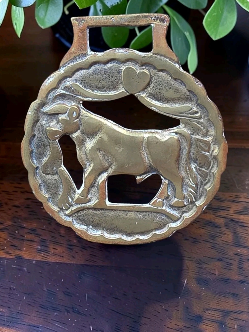 Vintage Bull Brass Medallion – Rustic Farmhouse Charm