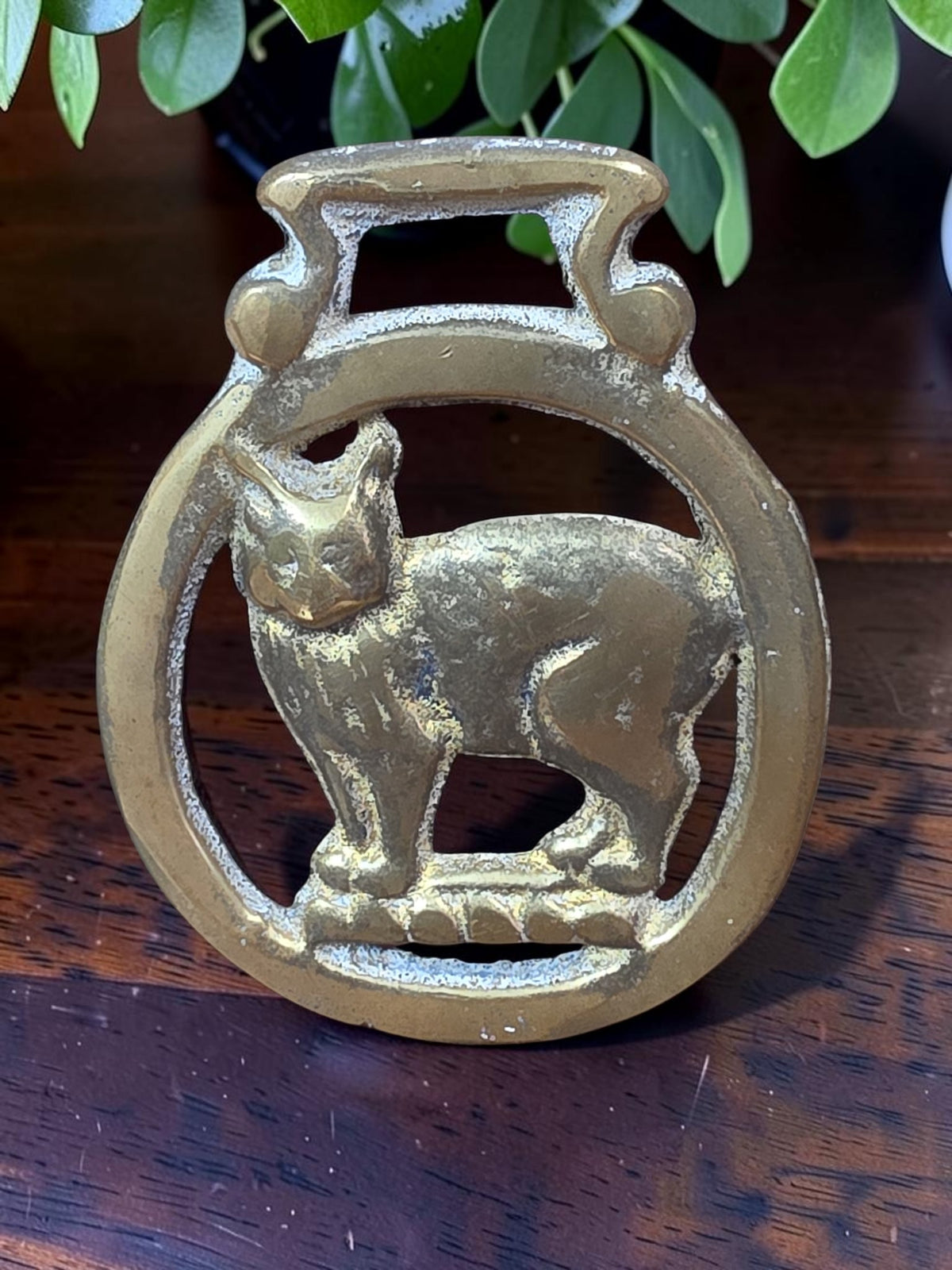 Vintage Brass Cat Bobtail Medallion • Raised Feline Design