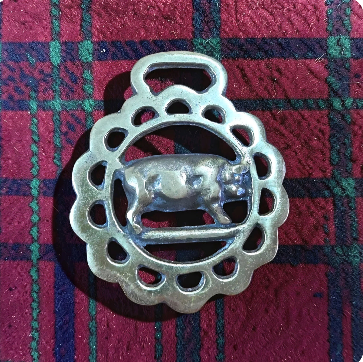 Brass Horse Medallion - Pig