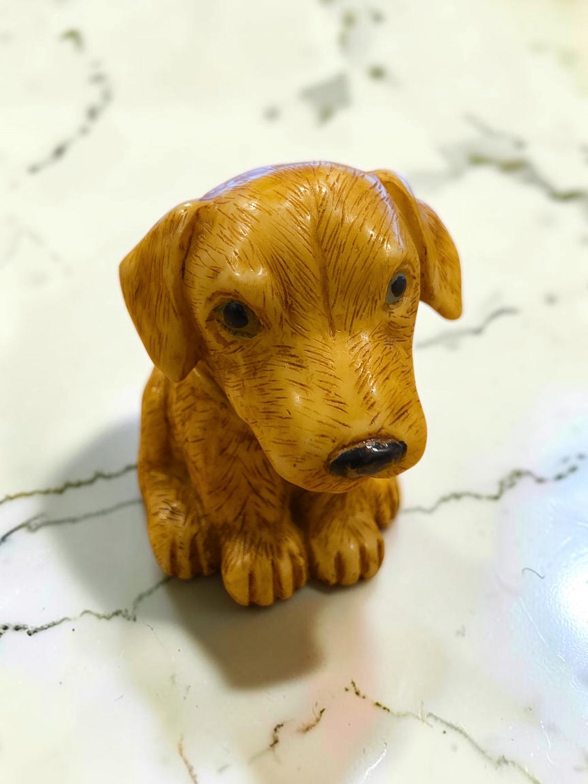 Harmony Kingdom Pot Bellys “Easy” Dog Figurine PBBHO11 2004 Retired Collectible